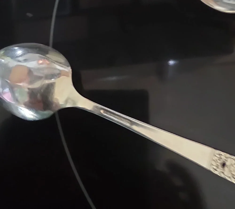Silver plated Serving Spoon - Silver